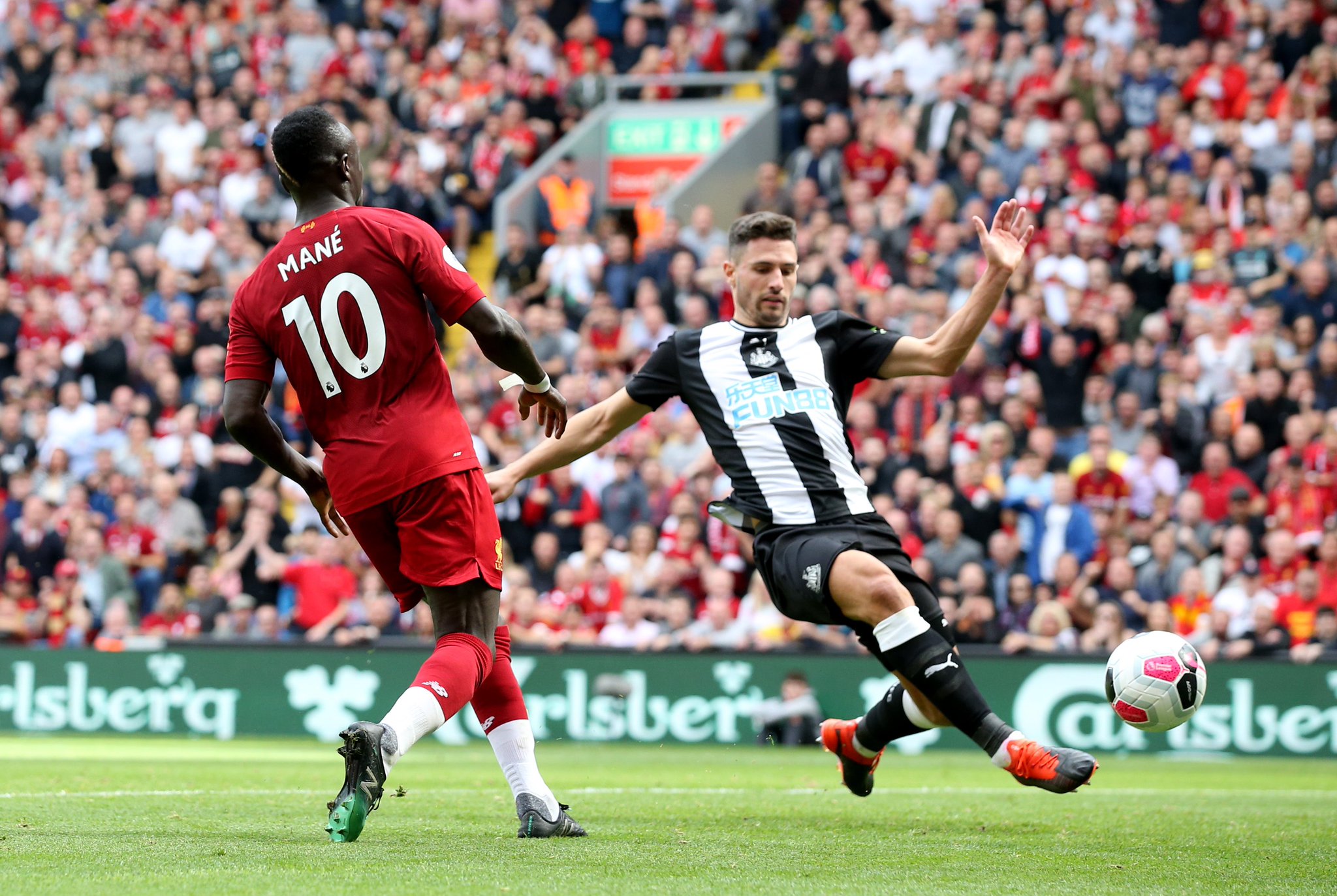 意的是林良 意的是林良