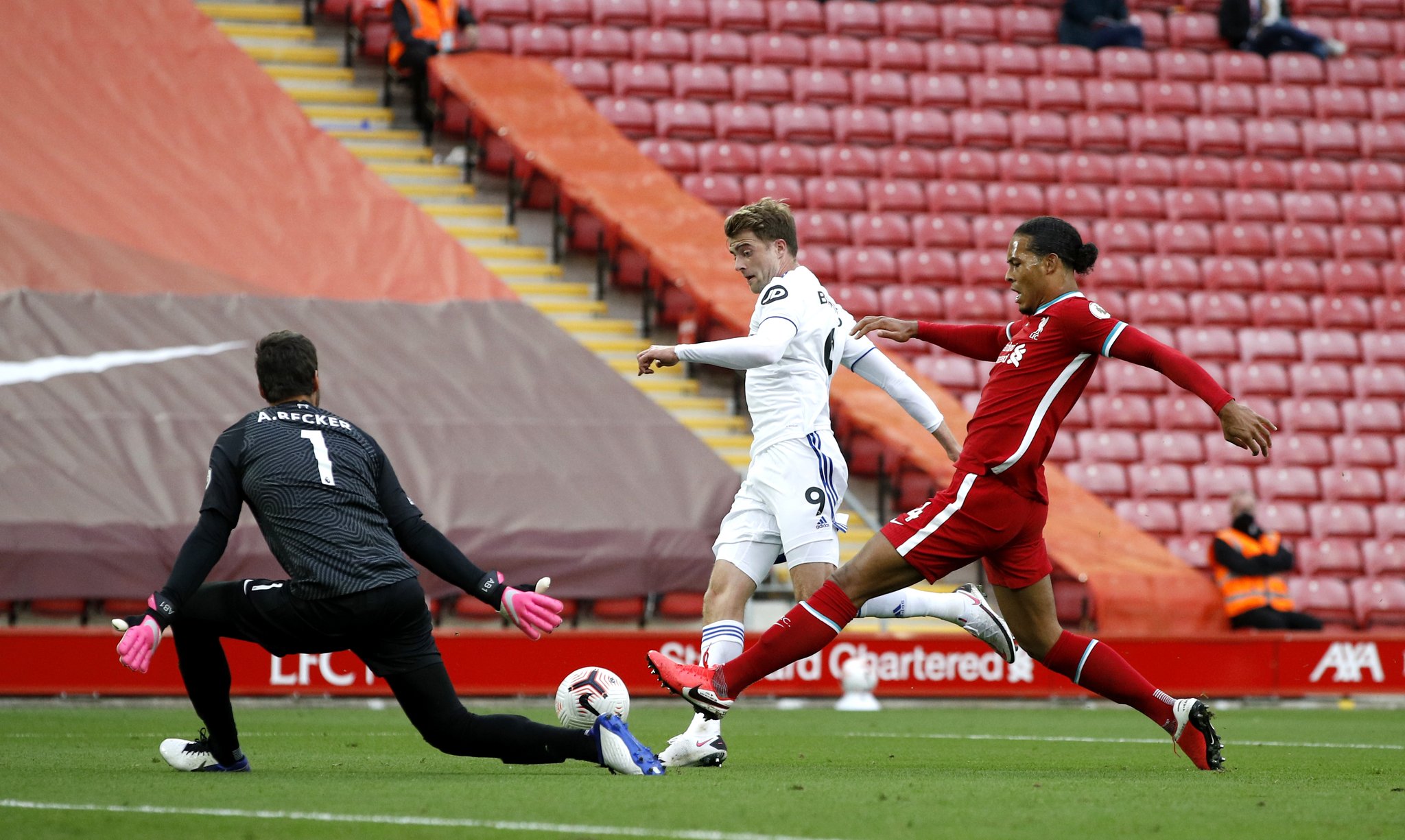 更是许多新 更是许多新